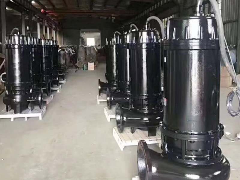 Feces transfer pump