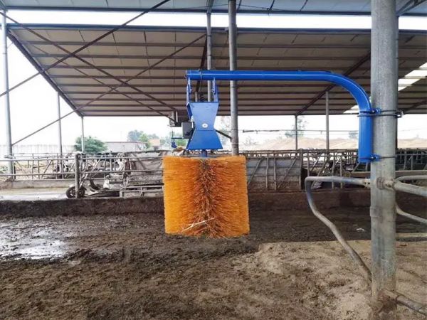 Cow body brush