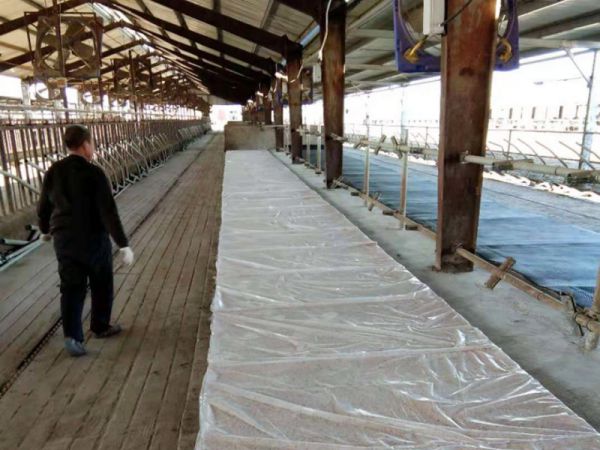 Sponge rubber mattress bed